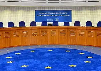 Europees Hof voor de Rechten van de Mens