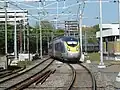De Eurostar te Rotterdam