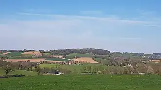 het Eyserbos bovenop de Eyserberg