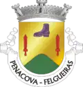 Vlag van Penacova