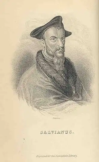 Portret van Salviani in The Naturalist's Library vol. 35, onmiskenbaar gebaseerd op zijn portret op de titelpagina van Aquatilium animalium historiae[1]