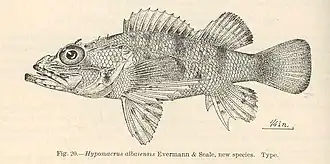 Scorpaenodes albaiensis