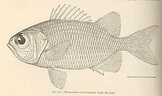 Myripristis leiognathus