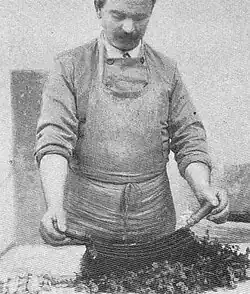 Fijnhakken van de kruiden