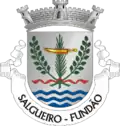Vlag van Salgueiro