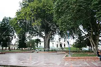 Park in Saladoblanco