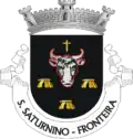 Vlag van São Saturnino