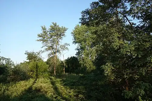 South Beach Wetlands