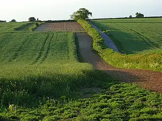 Boerenland in Popham