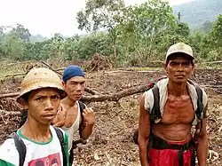 Idem bij het nationale park Kerinci Seblat op Sumatra (Indonesië).