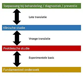 Verschillende ontwikkelingsfasen