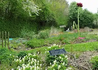 De Botanische tuin van Belle