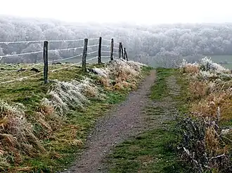 Heuvellandschap nabij het Vaalserquartier
