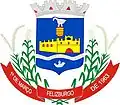 Wapen van Felizburgo