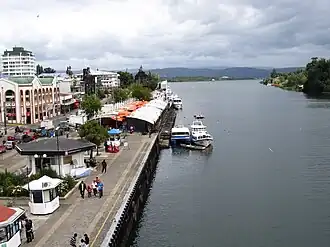 Odontesthes wiebrichi