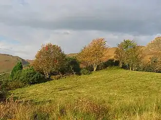 Landschap bij Sallachy