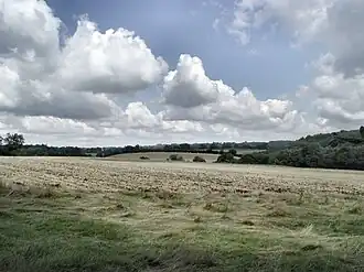 Landerijen bij Sonning Common