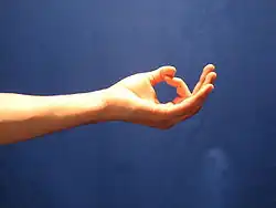 Jnana mudra