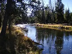 De Firehole net stroomafwaarts van de Biscuit Basin Meadows