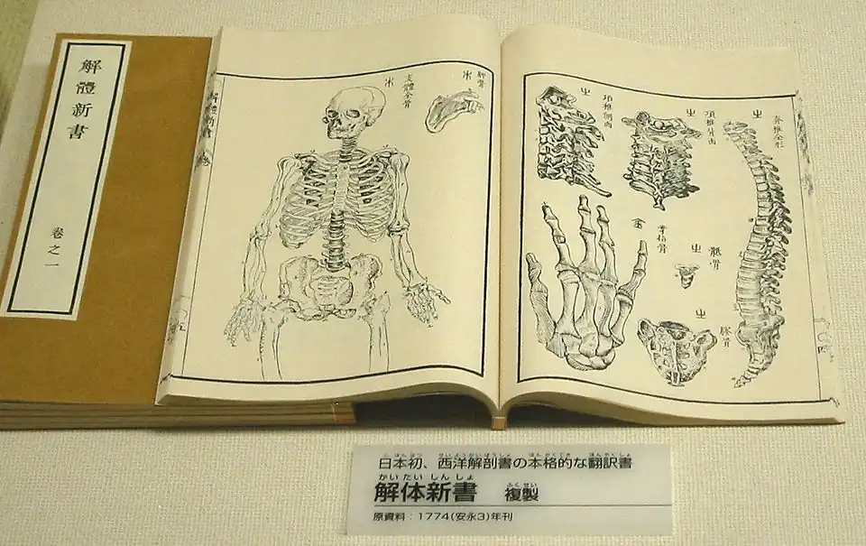 Japans eerste volledige vertaling van een westers boek over anatomie (Kaitai Shinsho), gepubliceerd in 1774. (National Museum of Nature and Science, Tokio).