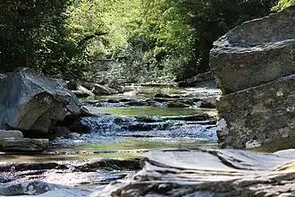 De Rabbi in Premilcuore.