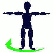 staande ronddraaiingen