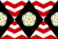 Vlag van South Yorkshire