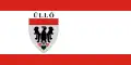 Vlag van Üllő