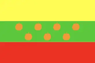 Vlag van 's-Gravendeel