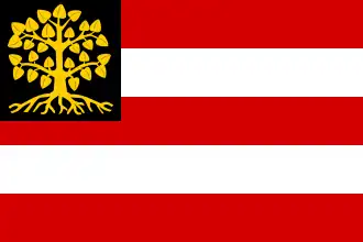 Vlag 's-Hertogenbosch