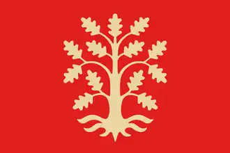 Vlag van Agder fylke