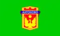 Vlag van Antonovo