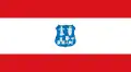 Vlag van Asuncion