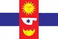 Vlag