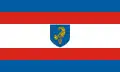 Vlag van Baj
