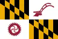 Vlag van Baltimore County