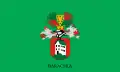 Vlag van Baracska
