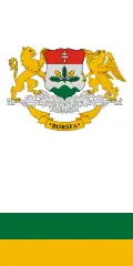 Vlag van Borsfa