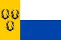 Vlag