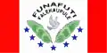 Vlag van Funafuti (Tuvalu)