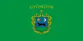 Vlag van Gyöngyös