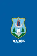 Vlag van Hajós
