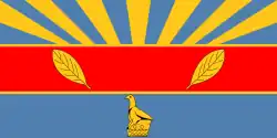 Vlag van Harare