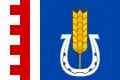 Vlag