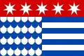 Vlag