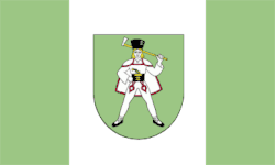 Vlag van gemeente Kamienica