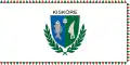 Vlag van Kisköre