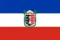 Onofficiële vlag van Araucanía