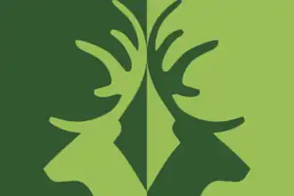 Vlag van Laag-Soeren