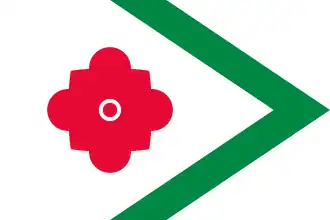 Vlag van de gemeente Landerd